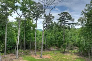 80 Harrison and Ada Rd, Blue Ridge, GA 30513 - Photo 55