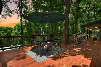 307 Pigeon Creek Road, Blue Ridge, GA 30513 - Photo 3