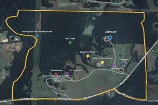 14501 Woolsey Rd, Hampton, GA 30228 - Photo 3