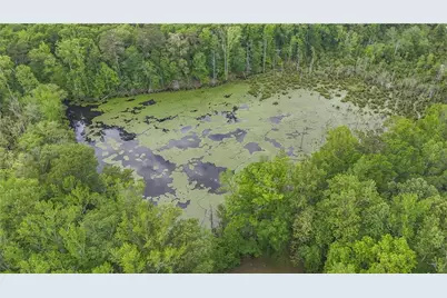 14501 Woolsey Road, Hampton, GA 30228 - Photo 139