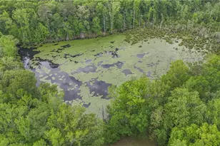 14501 Woolsey Rd, Hampton, GA 30228 - Photo 139