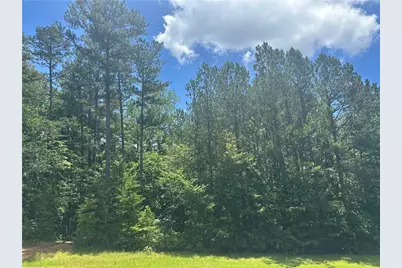 0 Elsberry Mountain Road, Dallas, GA 30132 - Photo 3