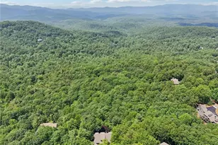 44 Sassafras Ridge, Big Canoe, GA 30143 - Photo 89