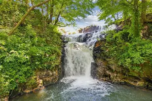 [Address not provided], Jasper, GA 30143 - Photo 53