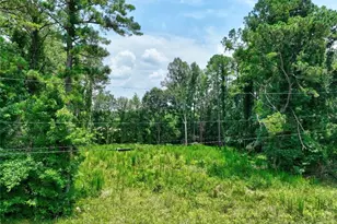 1060 Twin Pines Cir, Greensboro, GA 30642 - Photo 1