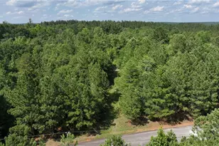 39B Omaha Dr, Elberton, GA 30635 - Photo 3