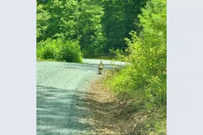 00000 Jumper Drive, Ellijay, GA 30540 - Photo 3