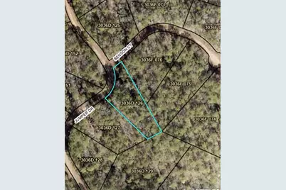 00000 Jumper Drive, Ellijay, GA 30540 - Photo 11