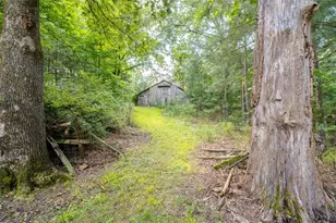 1434 Cullpepper Rd, Calhoun, GA 30701 - Photo 15