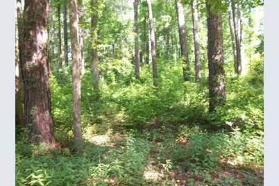 43 Shady Lane, Jackson, GA 30233 - Photo 5