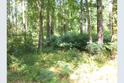 43 Shady Lane, Jackson, GA 30233 - Photo 3