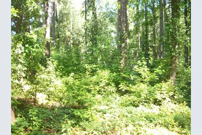 43 Shady Lane, Jackson, GA 30233 - Photo 7