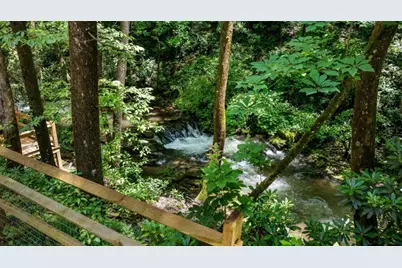 10323 Grassy Mountain Road, Ellijay, GA 30540 - Photo 15