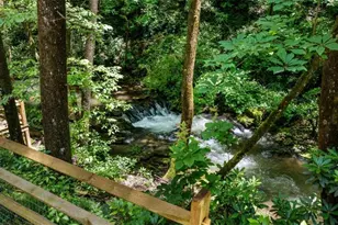 10323 Grassy Mountain Rd, Ellijay, GA 30540 - Photo 15