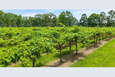 114 Crooked Lake Park, Villa Rica, GA 30180 - Photo 55