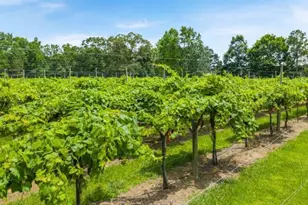 114 Crooked Lk Pk, Villa Rica, GA 30180 - Photo 55