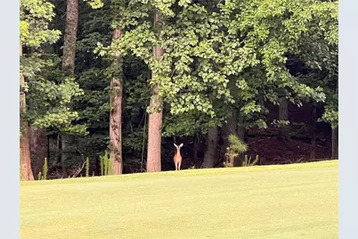 142 Red Cloud Drive, Waleska, GA 30183 - Photo 15