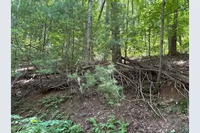 0 Mountain View Court, Ellijay, GA 30536 - Photo 3