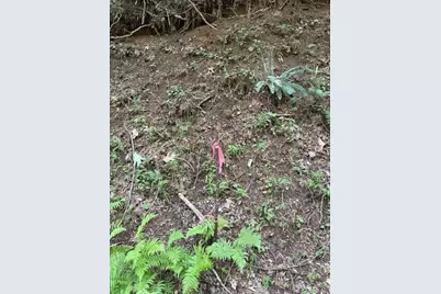 0 Mountain View Court, Ellijay, GA 30536 - Photo 5