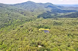 62 Peach Ln, Ellijay, GA 30536 - Photo 51