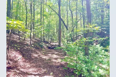 62 Peach Lane, Ellijay, GA 30536 - Photo 47