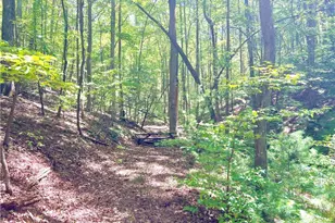 62 Peach Ln, Ellijay, GA 30536 - Photo 47