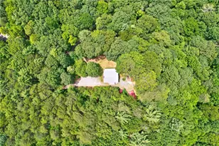 62 Peach Ln, Ellijay, GA 30536 - Photo 53