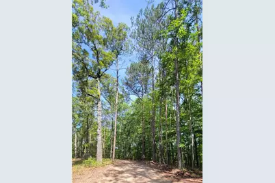 64 Beacon Place, Dallas, GA 30132 - Photo 3