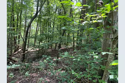 0 Lavender Trail, Rome, GA 30165 - Photo 1