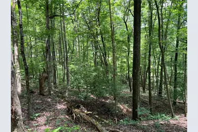 0 Lavender Trail, Rome, GA 30165 - Photo 11