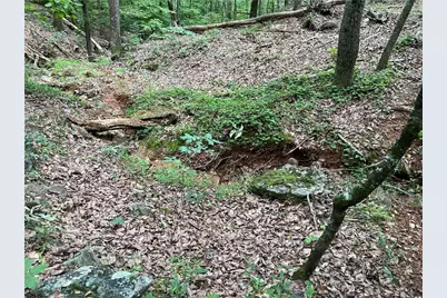 0 Lavender Trail, Rome, GA 30165 - Photo 33