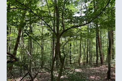 0 Lavender Trail, Rome, GA 30165 - Photo 13