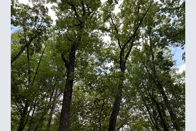 0 Lavender Trail, Rome, GA 30165 - Photo 29