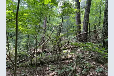 0 Lavender Trail, Rome, GA 30165 - Photo 5