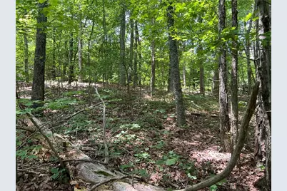 0 Lavender Trail, Rome, GA 30165 - Photo 7