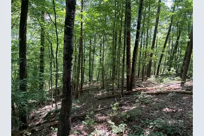 0 Lavender Trail, Rome, GA 30165 - Photo 3