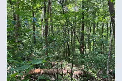 0 Lavender Trail, Rome, GA 30165 - Photo 9