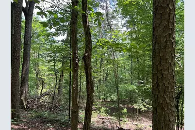 0 Lavender Trail, Rome, GA 30165 - Photo 27