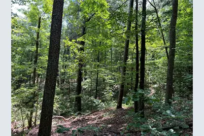 0 Lavender Trail, Rome, GA 30165 - Photo 23