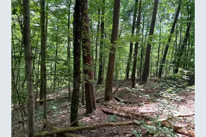 0 Lavender Trail, Rome, GA 30165 - Photo 15