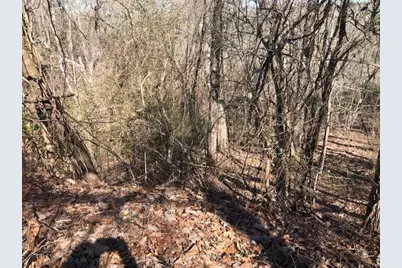 0 White Stag, Canton, GA 30114 - Photo 5