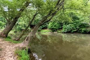 6 Spalding Ct, Ellijay, GA 30540 - Photo 55