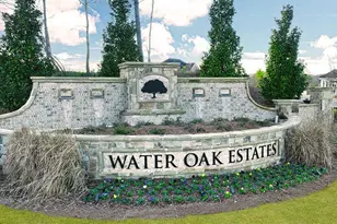 1761 Lacebark Elm Wy, Lawrenceville, GA 30045 - Photo 3