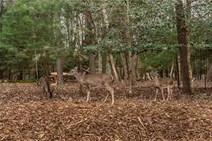 70 Muller Ln, Ellijay, GA 30540 - Photo 49