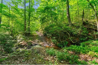 2948 Holly Creek Cool Springs Road, Chatsworth, GA 30705 - Photo 49