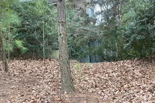 352 N Peak Dr, Alpharetta, GA 30022 - Photo 27