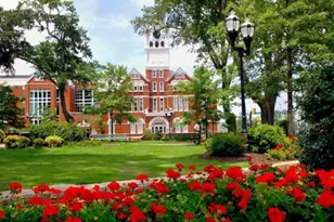 860 N Bethany Road N, McDonough, GA 30252 - Photo 15