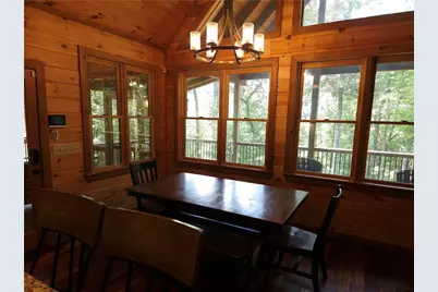 101 Hothouse Drive, Mineral Bluff, GA 30559 - Photo 9