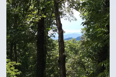 101 Hothouse Drive, Mineral Bluff, GA 30559 - Photo 57