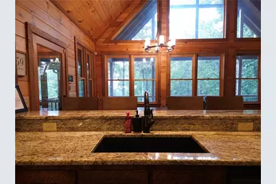 101 Hothouse Drive, Mineral Bluff, GA 30559 - Photo 15